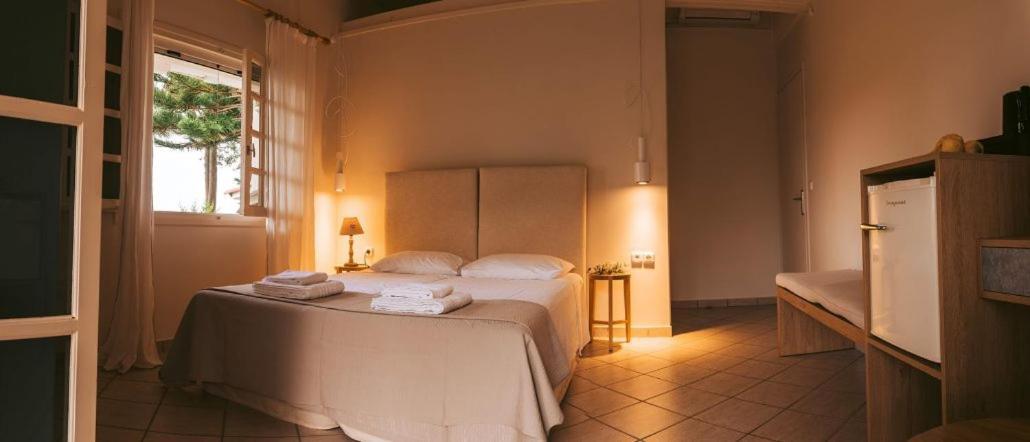 Villa Kastri Apartments Vasilikí Dış mekan fotoğraf