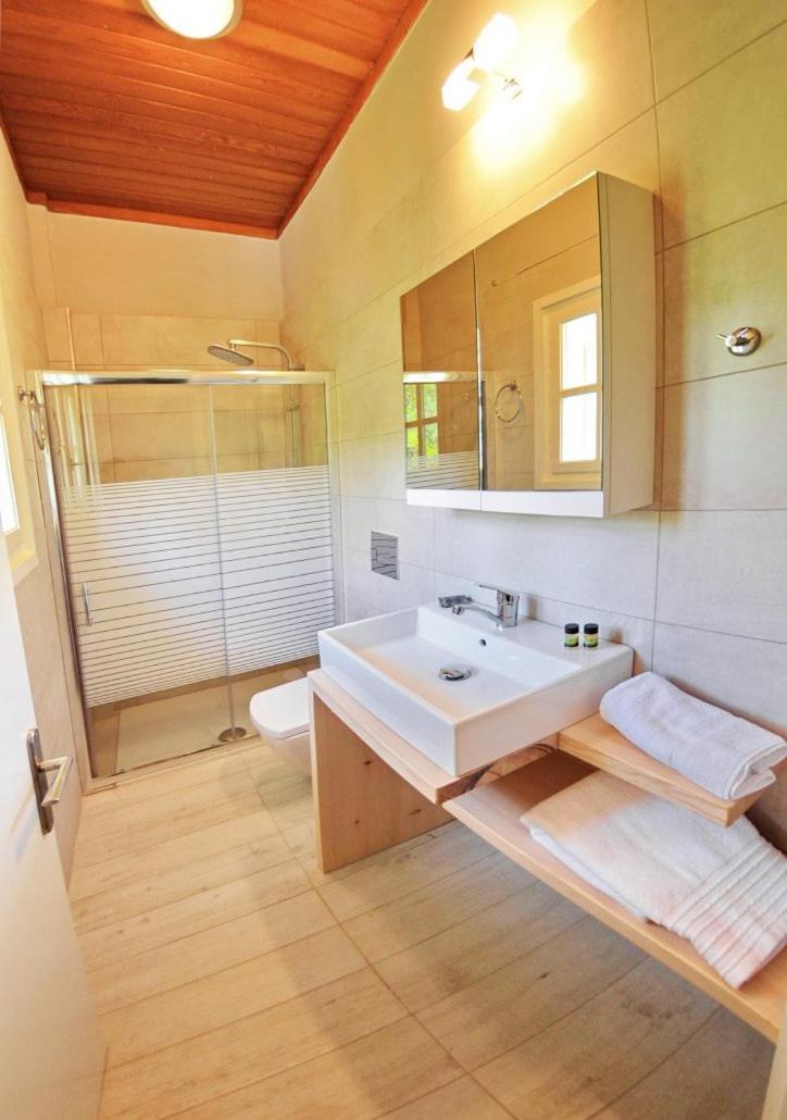 Villa Kastri Apartments Vasilikí Dış mekan fotoğraf